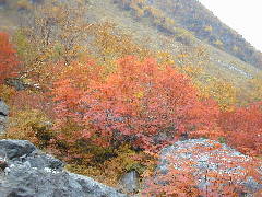 011008-karasawa-3.jpg