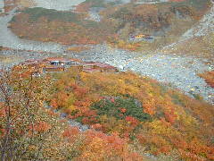 011008-karasawa-5.jpg