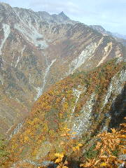 011008-karasawa-6.jpg