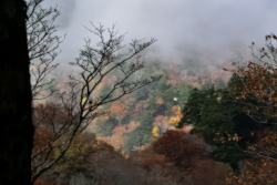 �݂ǂ�̔����̍g�t