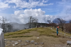 ���o���x�͉���������