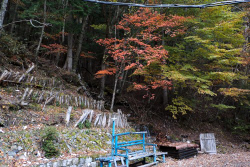 �����O�̍g�t