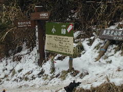 020217-takami-kotouge-2.jpg