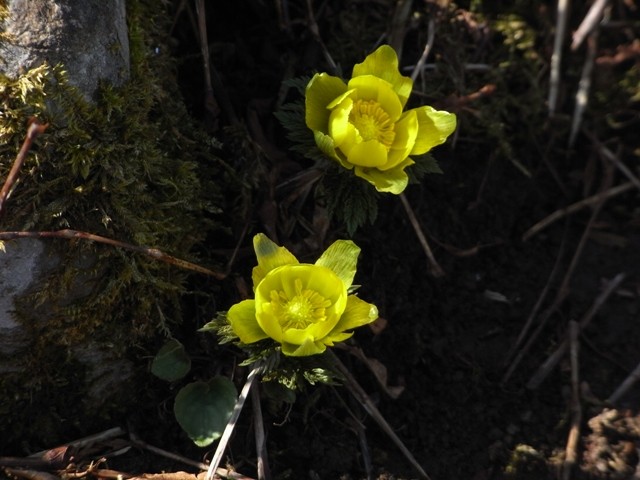 �N���b�N����Ək�����܂�