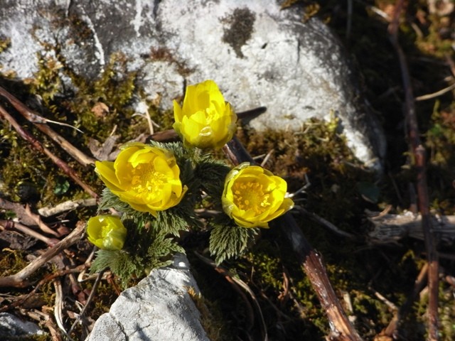 �N���b�N����Ək�����܂�