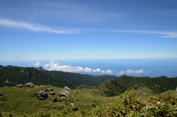 �����m���ʂ�]��