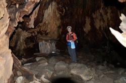 �E�C���\�����͂������ɑ傫��