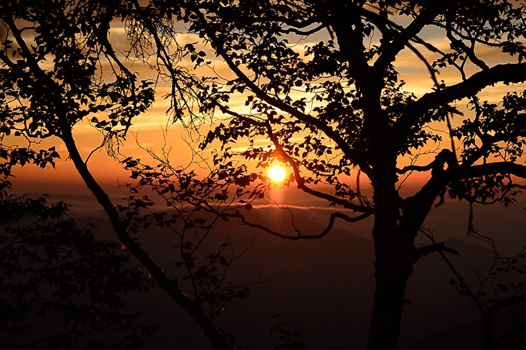 �N���b�N����Ɗg�債�܂��B�߂�Ƃ��́u�߂�v�{�^����